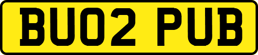 BU02PUB