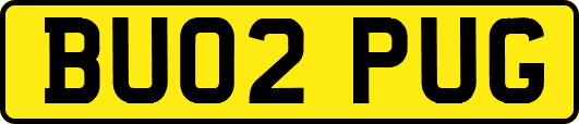BU02PUG