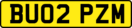 BU02PZM