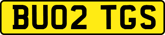 BU02TGS