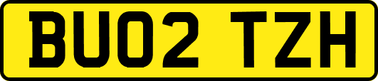 BU02TZH