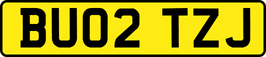 BU02TZJ
