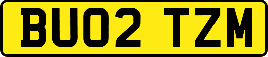 BU02TZM