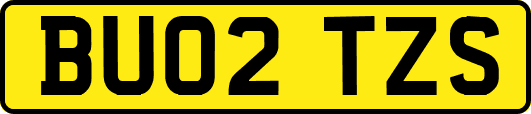 BU02TZS