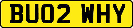 BU02WHY