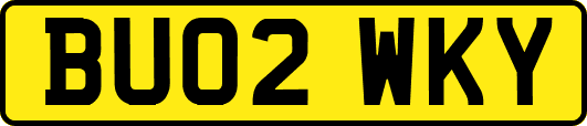 BU02WKY