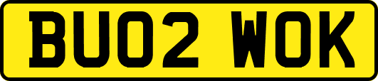 BU02WOK