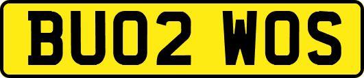 BU02WOS
