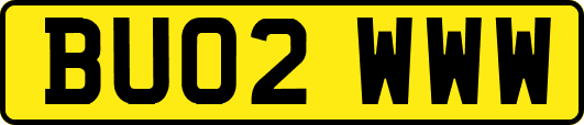 BU02WWW