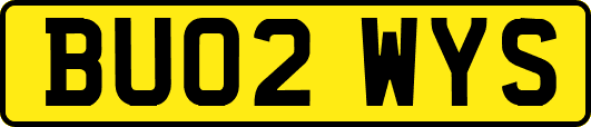 BU02WYS
