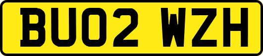 BU02WZH