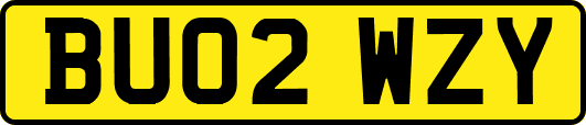 BU02WZY