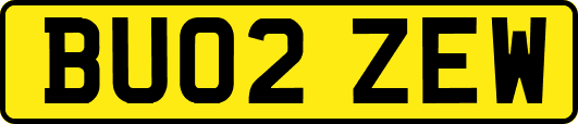 BU02ZEW