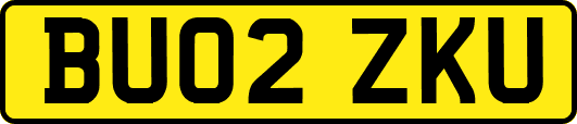 BU02ZKU