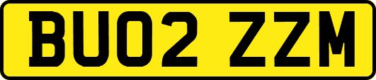 BU02ZZM