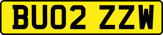 BU02ZZW