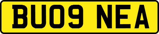 BU09NEA