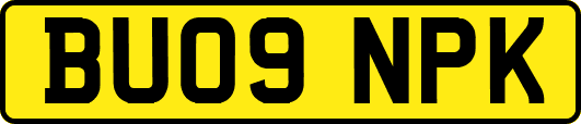 BU09NPK