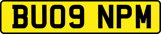 BU09NPM