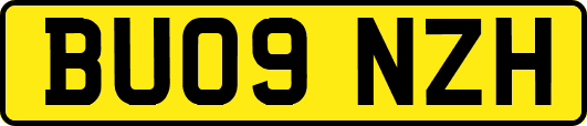 BU09NZH