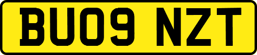 BU09NZT