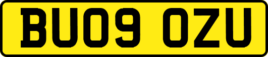 BU09OZU