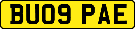 BU09PAE
