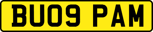 BU09PAM