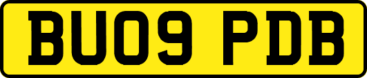 BU09PDB