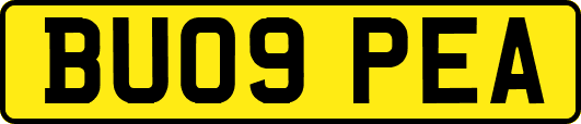 BU09PEA