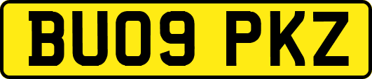 BU09PKZ