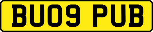 BU09PUB