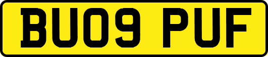BU09PUF