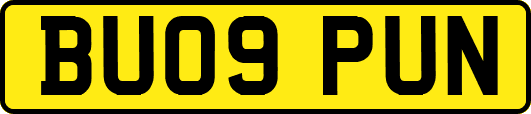 BU09PUN