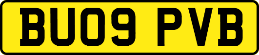 BU09PVB