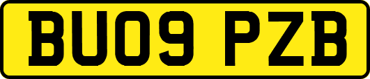 BU09PZB