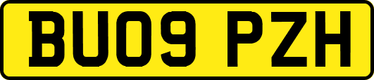 BU09PZH