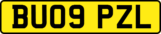 BU09PZL