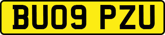 BU09PZU