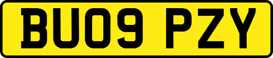 BU09PZY