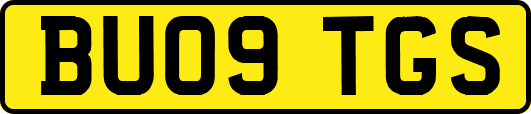 BU09TGS