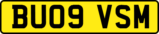 BU09VSM