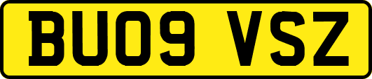 BU09VSZ