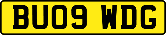 BU09WDG