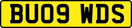 BU09WDS