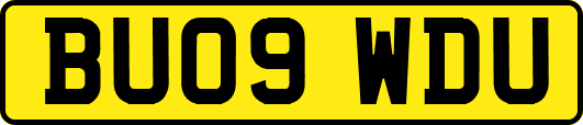 BU09WDU
