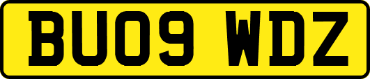 BU09WDZ