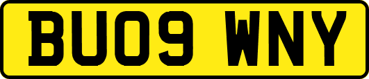 BU09WNY