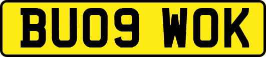 BU09WOK