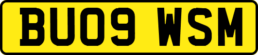 BU09WSM